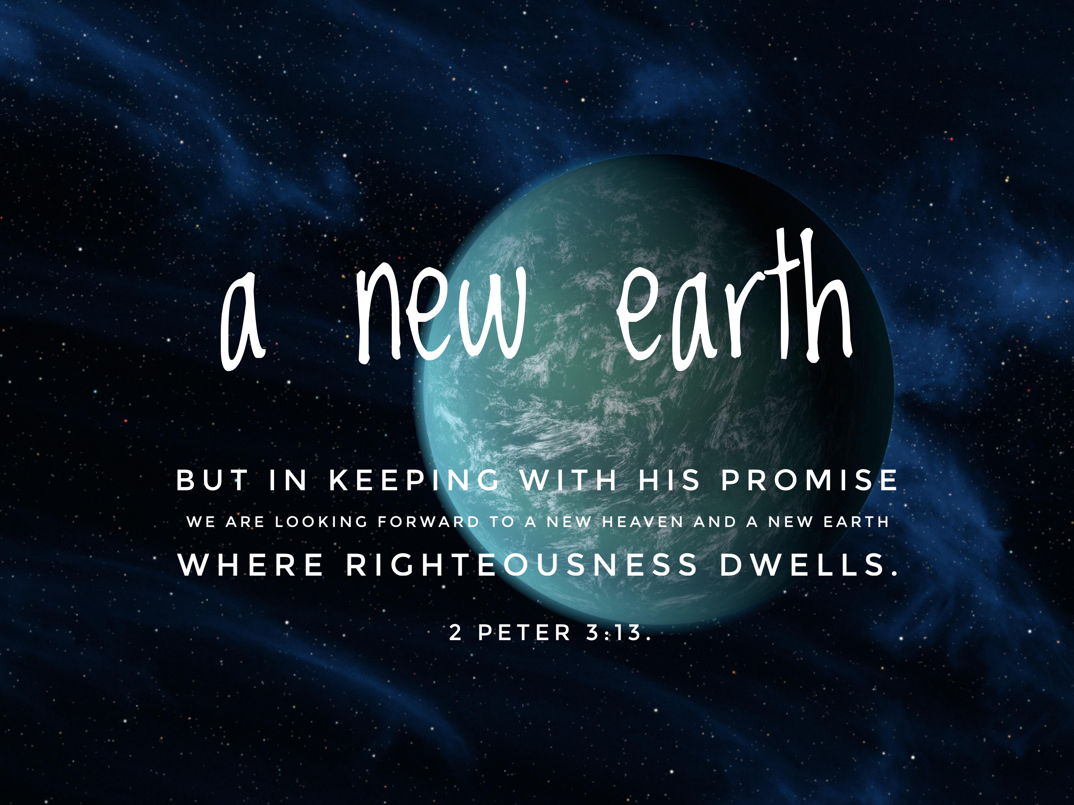 Verse Asset